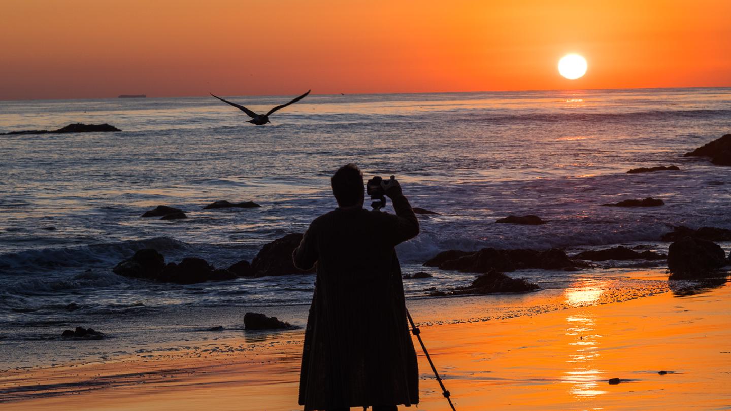 The Photographer and the Wing
