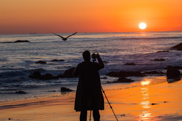 The Photographer and the Wing